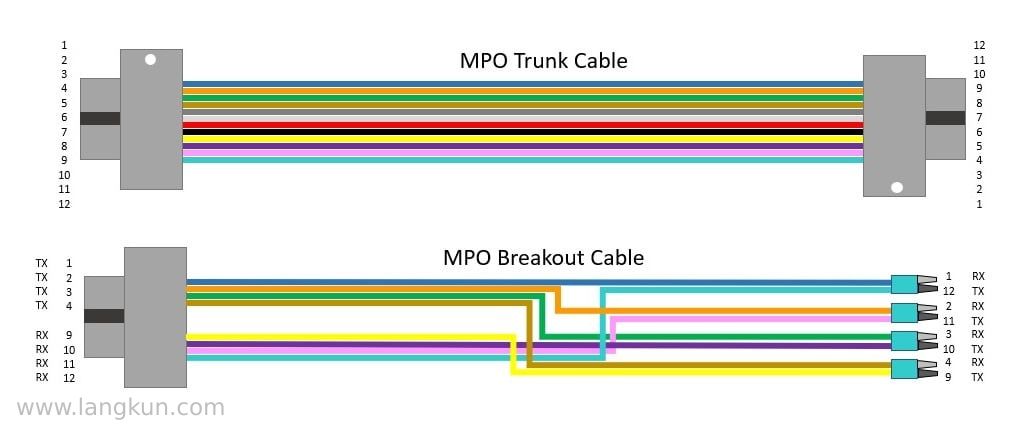 Diagram depicting an MPO trunk cable and an MPO breakout cable.