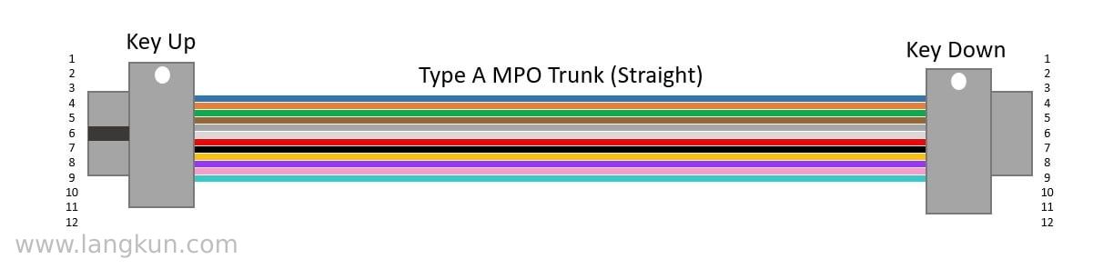 Graphic of a Type A straight-through MPO trunk cable.