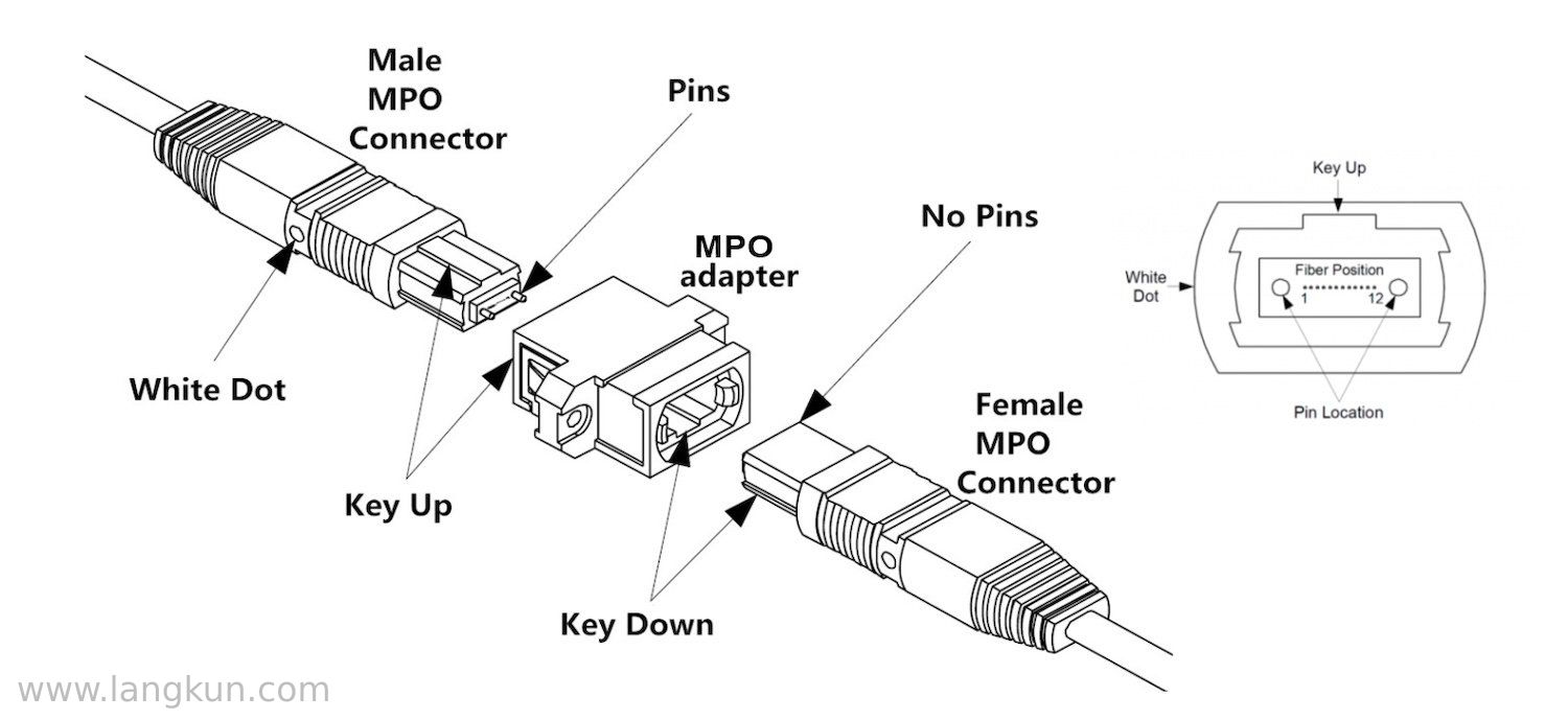 The structure of a male (with pins) MPO connector and a female (without pins) MPO connector.