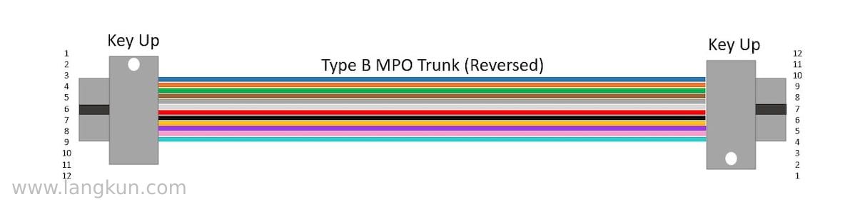 Graphic of a Type B reversed MPO trunk cable.
