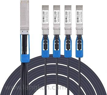 Amazon.com: 100G QSFP28 Breakout DAC Cable | QSFP28 to 25G SFP28 Passive Direct Attach Copper Twinax Cables for Cisco QSFP-4SFP10G-CU1M, 1-Meter(3.3ft) : Electronics